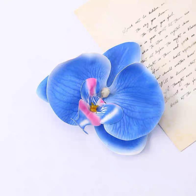 #04 blue